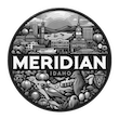 IDOT Meridian Webcams